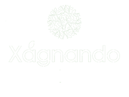 logo_header